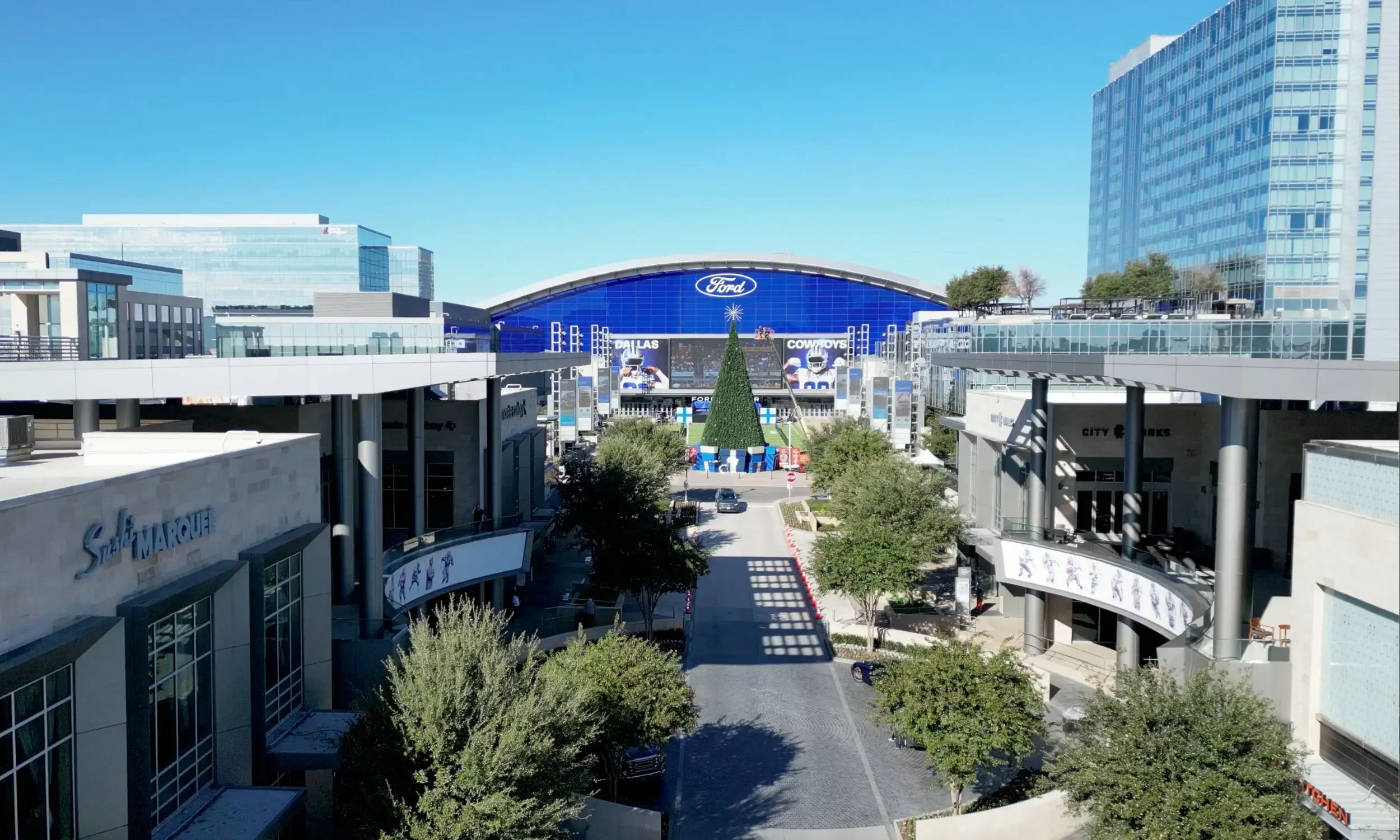 Artificial turf services in Frisco