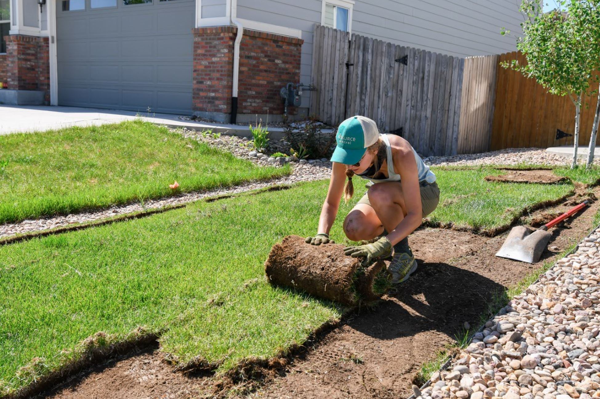 Turf Removal and Replacement in Plano TX